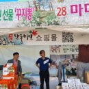 단풍미인 이미지