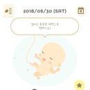 280데이즈
