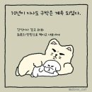 강아지삼촌