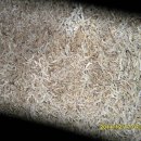 산골의하루 이미지