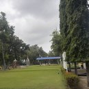 이동골프클럽 이미지