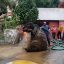 자이언트PC 이미지