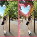 턱걸이 철봉을 사랑하다🤭💕✨ 이미지