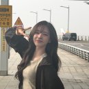 안리즈