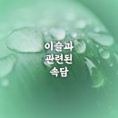이슬운수 네이버블로그