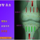 키크는운동법, 광주성장클리닉유명한의원 이미지