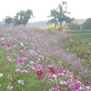 원종고등학교 이미지