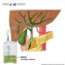 송파내안에의원 이미지