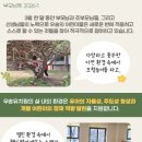 우송유치원