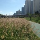 최우진행복한의원 이미지