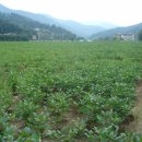 나린농장 이미지