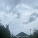 톳고개로 이미지