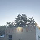 기장애견 | 🙄 애견 동반? 부산 기장,일광 수제버거 맛집 [버거 베이] 방문 후기🍔