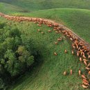 길은목장 이미지