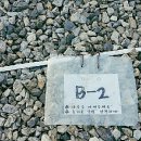 해바라기캠핑장 이미지