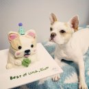 댕과댕빵 이미지