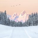 골프존 아카데미(일산 마두점) 이미지