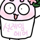 새로헤어