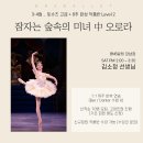 오로라발레 이미지