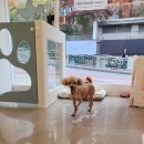 보리미용실 이미지