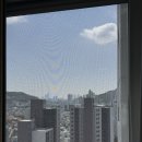 시청역 비스타 동원 | 시청역 비스타동원 방충망 교체 ｜벌레 유입 , 뿌연 시야 해결 후기