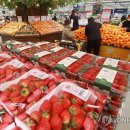 과일세상2