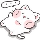 미스터팽