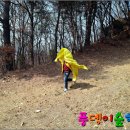 시원한바람 이미지