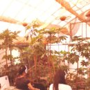 서문여자고등학교 이미지