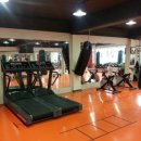 대치생활복싱 이미지