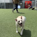웜브리즈 이미지