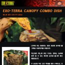 엑소렙타일