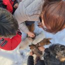 (2021년 1월 여행)4. 부안군 눈꽃여행. 반계선생 유적지. 반계 유형원, 부안에서 꿈을 준비하다! 반계서당!