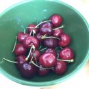 바이오엔 | [독일교환일기] Day 84 - 독일에서 백신 맞기, 화이자 바이오엔테크 백신 후기