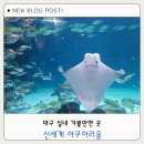 조준농장 | 대구 실내 가볼만한 곳 아이랑함께 아쿠아리움 방문후기