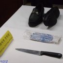 (2009년) 천안 성환 모녀 살인사건 이미지
