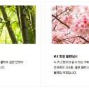 고목림 이미지