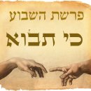 유대식 성경읽기 (파라샤) - 키 타보/네가 들어가서 이미지