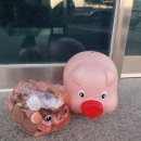 안양면사무소 남도일보