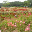 ※﻿[추가]2016.[봄~여름]축제 ~참고하세요~!! 이미지