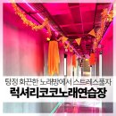 럭셔리코코노래연습장 이미지