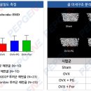 대조-002 이미지