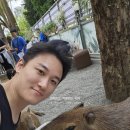 가오슝 카피바라 애니멀펫카페 중앙공원 (컨딩 아님)