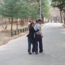 호두정