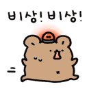 늘봄펫살롱