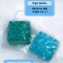 샐리솝