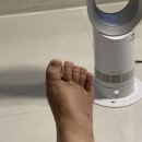 (주)하이우드엔옥토버상사 | 일란성 쌍둥이 30주 / 역아 탈출, 배뭉침 줄어듦, 다리 발 붓기, 일룸 쿠시노, 본격 육아용품 준비...