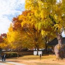 전주향교 이미지