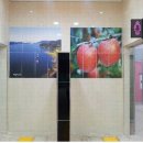 터미널화장실 이미지