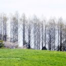 서산농장 이미지